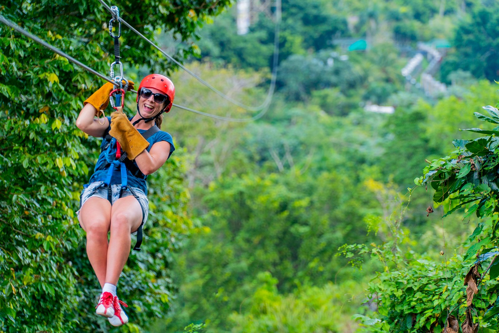 Zipline Adventure