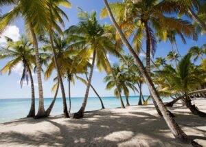 Saona Island Full Day