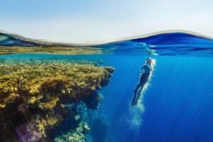 Catalina Island Snorkeling