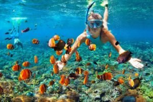 Saona Island Full Day