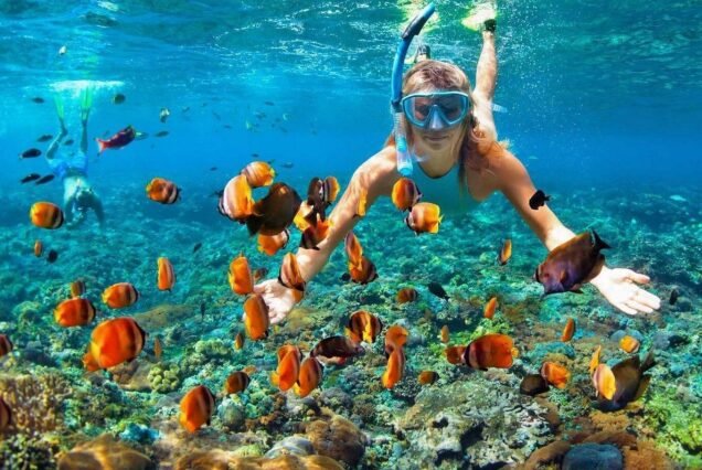 Catalina Island Snorkeling