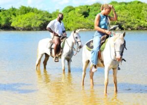 Horseback Riding Beach Tour