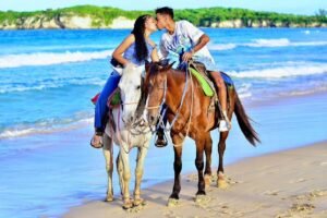 Horseback Riding Beach Tour